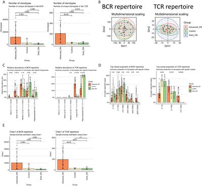 Immune repertoire and evolutionary trajectory analysis in the development of diabetic nephropathy